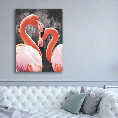 Image of 'Flamingo II on BW' by Debra Van Swearingen, Canvas Wall Art,40 x 54