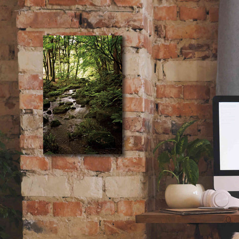 Image of 'Lush Creek in Forest' by Debra Van Swearingen, Canvas Wall Art,12 x 18