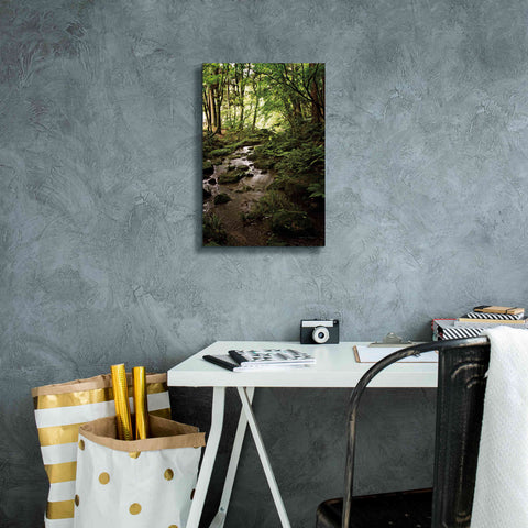 Image of 'Lush Creek in Forest' by Debra Van Swearingen, Canvas Wall Art,12 x 18