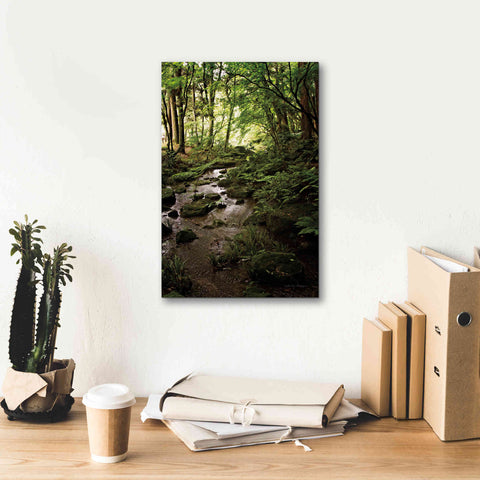 Image of 'Lush Creek in Forest' by Debra Van Swearingen, Canvas Wall Art,12 x 18