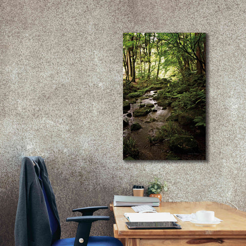 Image of 'Lush Creek in Forest' by Debra Van Swearingen, Canvas Wall Art,26 x 40