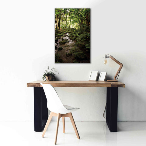 Image of 'Lush Creek in Forest' by Debra Van Swearingen, Canvas Wall Art,26 x 40