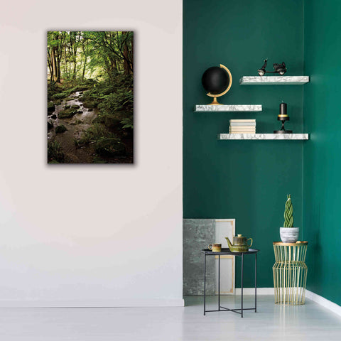 Image of 'Lush Creek in Forest' by Debra Van Swearingen, Canvas Wall Art,26 x 40