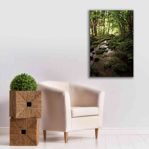 Image of 'Lush Creek in Forest' by Debra Van Swearingen, Canvas Wall Art,26 x 40
