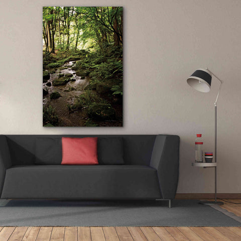 Image of 'Lush Creek in Forest' by Debra Van Swearingen, Canvas Wall Art,40 x 60