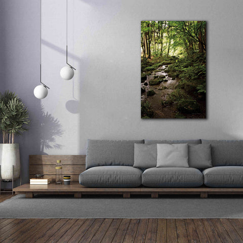 Image of 'Lush Creek in Forest' by Debra Van Swearingen, Canvas Wall Art,40 x 60