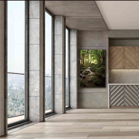 Image of 'Lush Creek in Forest' by Debra Van Swearingen, Canvas Wall Art,40 x 60