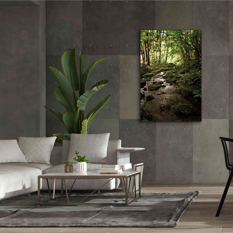Image of 'Lush Creek in Forest' by Debra Van Swearingen, Canvas Wall Art,40 x 60