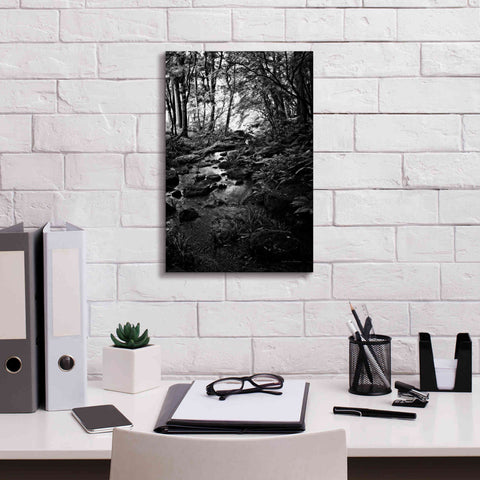 Image of 'Lush Creek in Forest BW' by Debra Van Swearingen, Canvas Wall Art,12 x 18