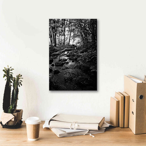 Image of 'Lush Creek in Forest BW' by Debra Van Swearingen, Canvas Wall Art,12 x 18