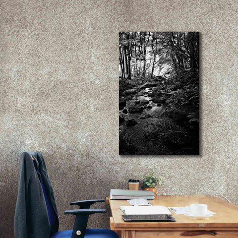 Image of 'Lush Creek in Forest BW' by Debra Van Swearingen, Canvas Wall Art,26 x 40
