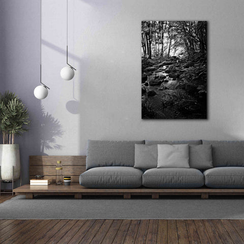 Image of 'Lush Creek in Forest BW' by Debra Van Swearingen, Canvas Wall Art,40 x 60