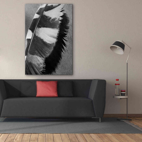 Image of 'Feather Shadow I' by Debra Van Swearingen, Canvas Wall Art,40 x 60