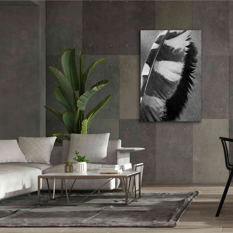 Image of 'Feather Shadow I' by Debra Van Swearingen, Canvas Wall Art,40 x 60