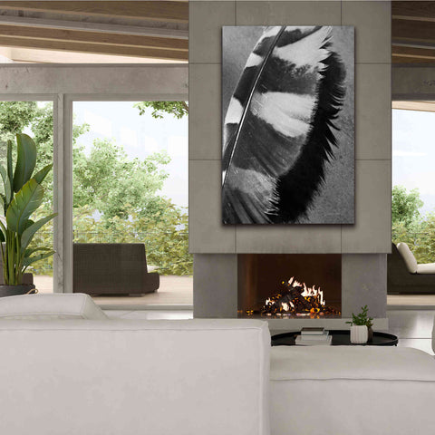 Image of 'Feather Shadow I' by Debra Van Swearingen, Canvas Wall Art,40 x 60