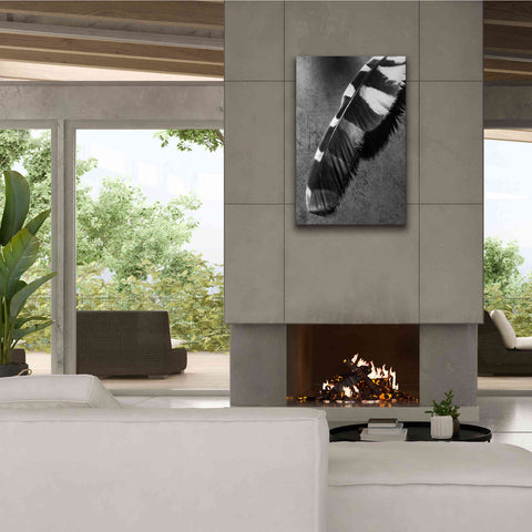 Image of 'Feather Shadow II' by Debra Van Swearingen, Canvas Wall Art,26 x 40