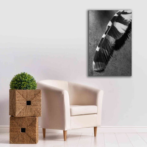 Image of 'Feather Shadow II' by Debra Van Swearingen, Canvas Wall Art,26 x 40