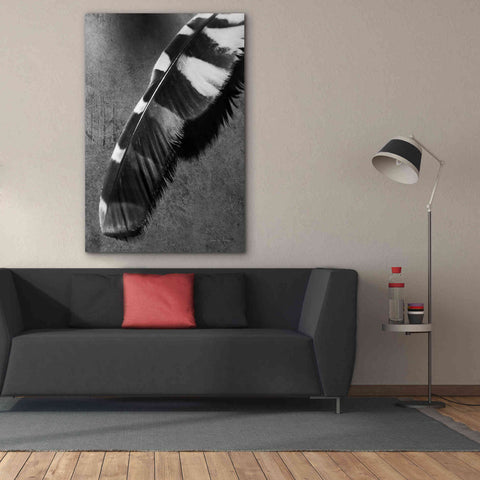 Image of 'Feather Shadow II' by Debra Van Swearingen, Canvas Wall Art,40 x 60