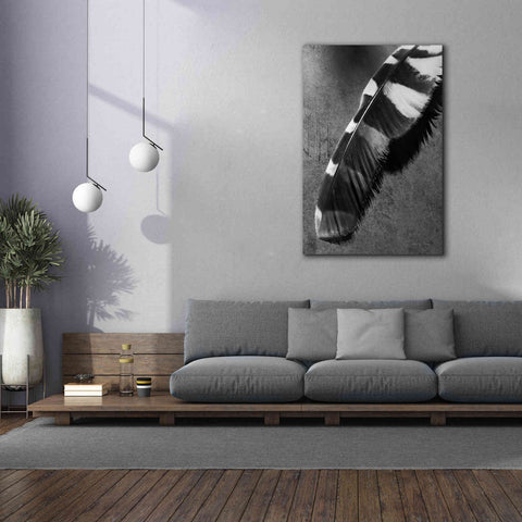 Image of 'Feather Shadow II' by Debra Van Swearingen, Canvas Wall Art,40 x 60