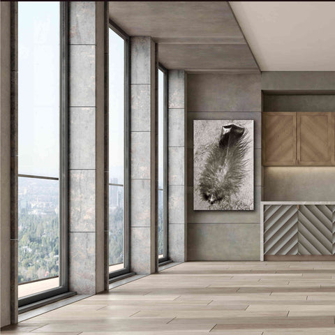 Image of 'Feather Shadow IV' by Debra Van Swearingen, Canvas Wall Art,40 x 60