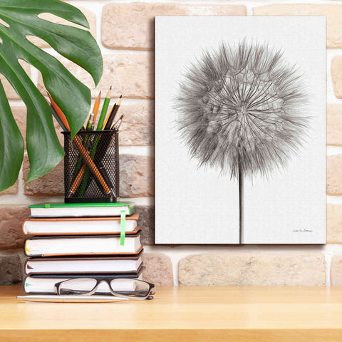 Image of 'Dandelion Fluff on White' by Debra Van Swearingen, Canvas Wall Art,12 x 16