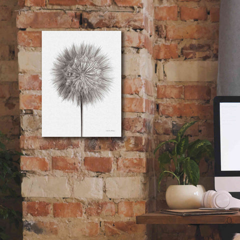 Image of 'Dandelion Fluff on White' by Debra Van Swearingen, Canvas Wall Art,12 x 16