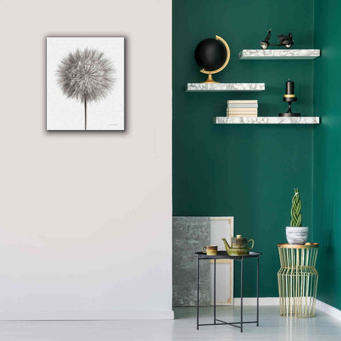 Image of 'Dandelion Fluff on White' by Debra Van Swearingen, Canvas Wall Art,20 x 24