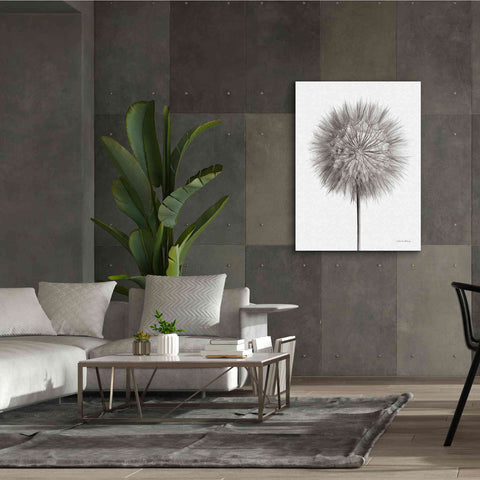 Image of 'Dandelion Fluff on White' by Debra Van Swearingen, Canvas Wall Art,40 x 54