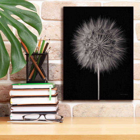 Image of 'Dandelion Fluff on Black' by Debra Van Swearingen, Canvas Wall Art,12 x 16