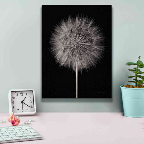 Image of 'Dandelion Fluff on Black' by Debra Van Swearingen, Canvas Wall Art,12 x 16