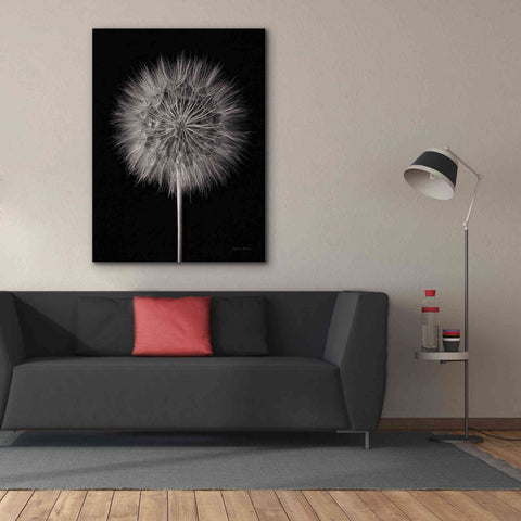 Image of 'Dandelion Fluff on Black' by Debra Van Swearingen, Canvas Wall Art,40 x 54