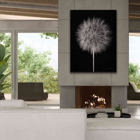 Image of 'Dandelion Fluff on Black' by Debra Van Swearingen, Canvas Wall Art,40 x 54