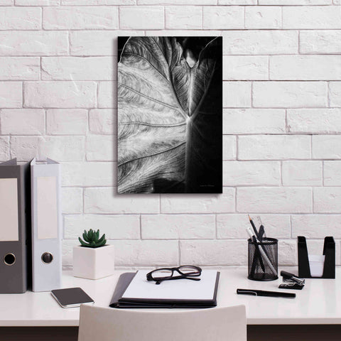 Image of 'Elephant Ear I' by Debra Van Swearingen, Canvas Wall Art,12 x 18