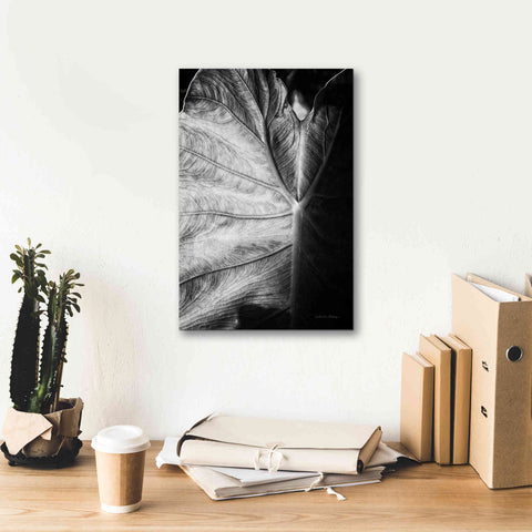 Image of 'Elephant Ear I' by Debra Van Swearingen, Canvas Wall Art,12 x 18