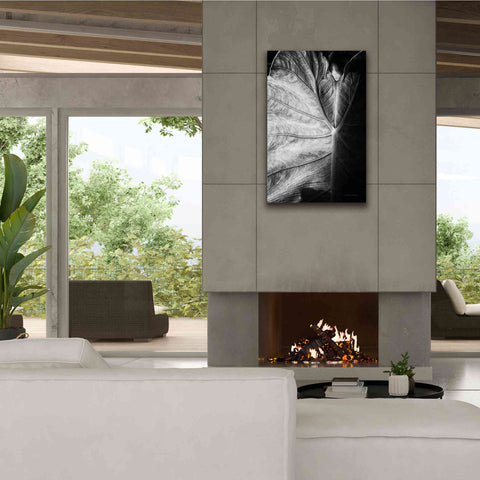 Image of 'Elephant Ear I' by Debra Van Swearingen, Canvas Wall Art,26 x 40