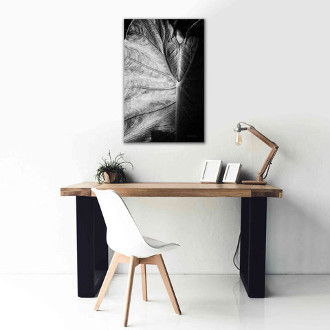 Image of 'Elephant Ear I' by Debra Van Swearingen, Canvas Wall Art,26 x 40