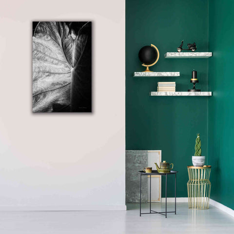 Image of 'Elephant Ear I' by Debra Van Swearingen, Canvas Wall Art,26 x 40