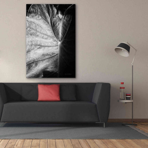 Image of 'Elephant Ear I' by Debra Van Swearingen, Canvas Wall Art,40 x 60