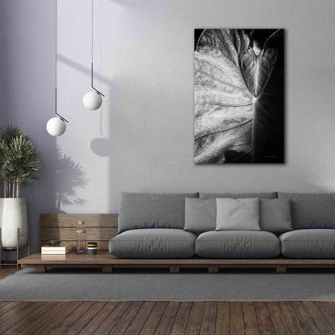 Image of 'Elephant Ear I' by Debra Van Swearingen, Canvas Wall Art,40 x 60