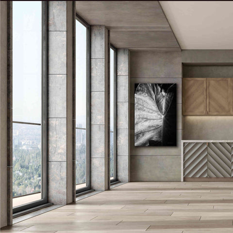 Image of 'Elephant Ear I' by Debra Van Swearingen, Canvas Wall Art,40 x 60