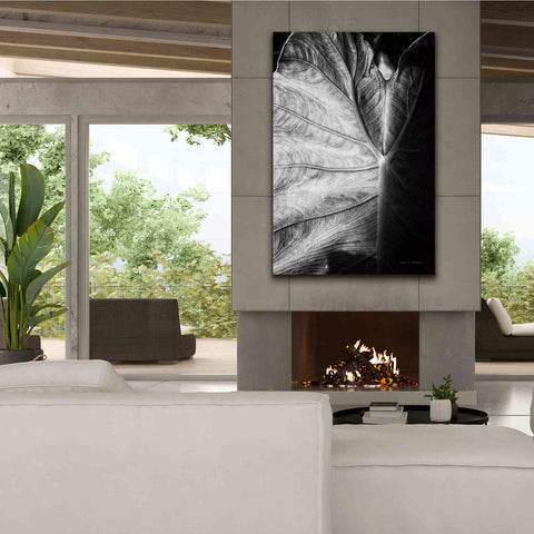Image of 'Elephant Ear I' by Debra Van Swearingen, Canvas Wall Art,40 x 60