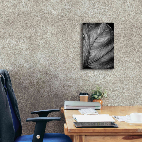 Image of 'Elephant Ear II' by Debra Van Swearingen, Canvas Wall Art,12 x 18