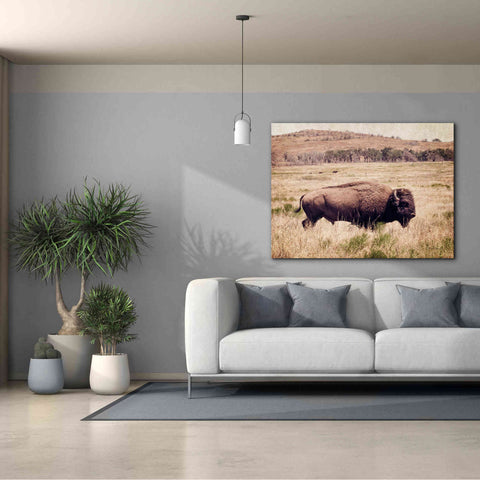 Image of 'Buffalo I' by Debra Van Swearingen, Canvas Wall Art,54 x 40