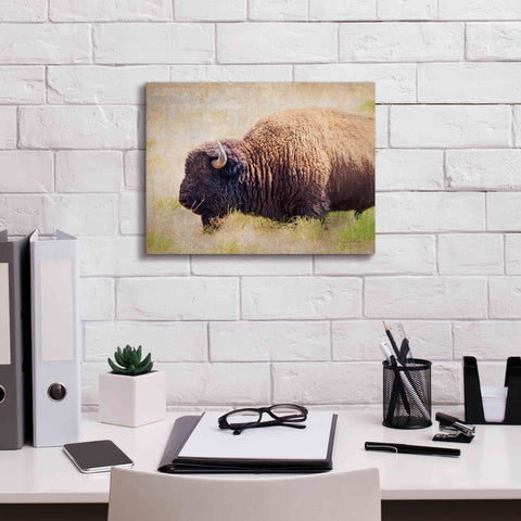 Image of 'Buffalo II' by Debra Van Swearingen, Canvas Wall Art,16 x 12
