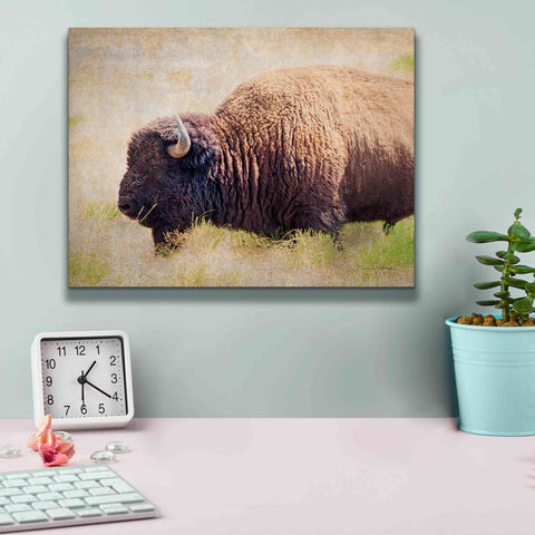 Image of 'Buffalo II' by Debra Van Swearingen, Canvas Wall Art,16 x 12