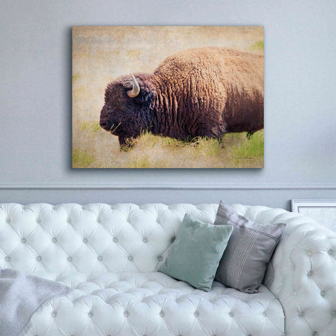 Image of 'Buffalo II' by Debra Van Swearingen, Canvas Wall Art,54 x 40