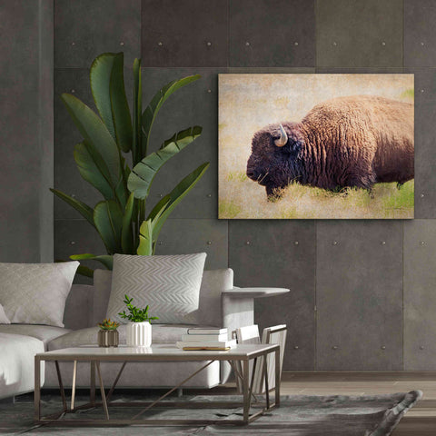 Image of 'Buffalo II' by Debra Van Swearingen, Canvas Wall Art,54 x 40