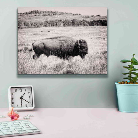 Image of 'Buffalo I BW' by Debra Van Swearingen, Canvas Wall Art,16 x 12