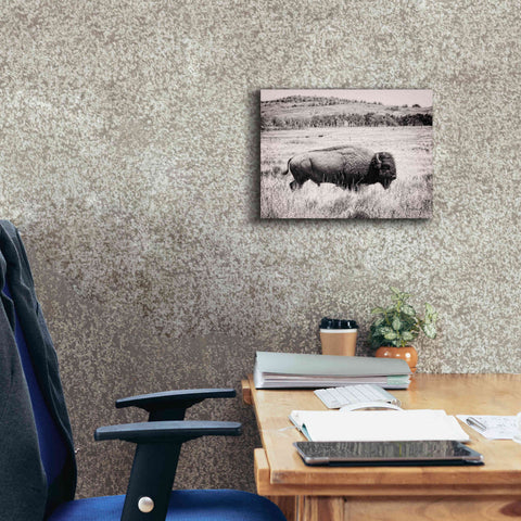 Image of 'Buffalo I BW' by Debra Van Swearingen, Canvas Wall Art,16 x 12