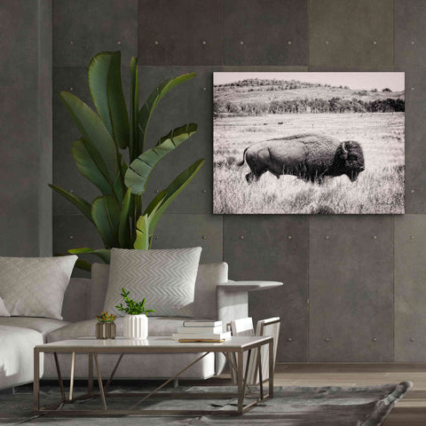 Image of 'Buffalo I BW' by Debra Van Swearingen, Canvas Wall Art,54 x 40